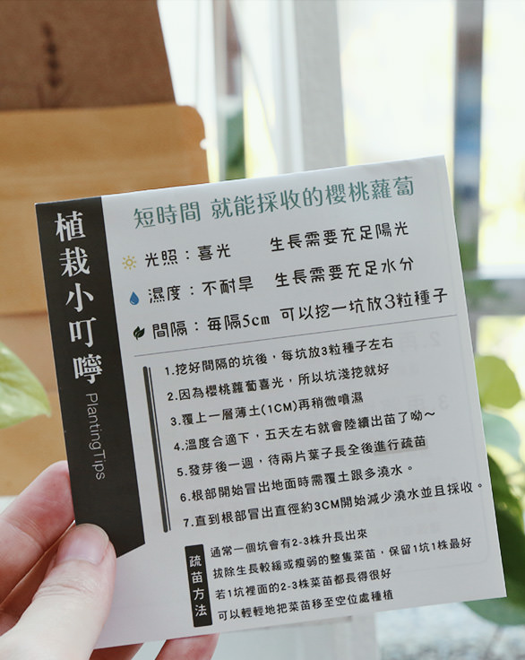 城市窩農|陽台種菜箱組合-疫情期間居家種菜,30天櫻桃蘿蔔收成了! - 第6張圖