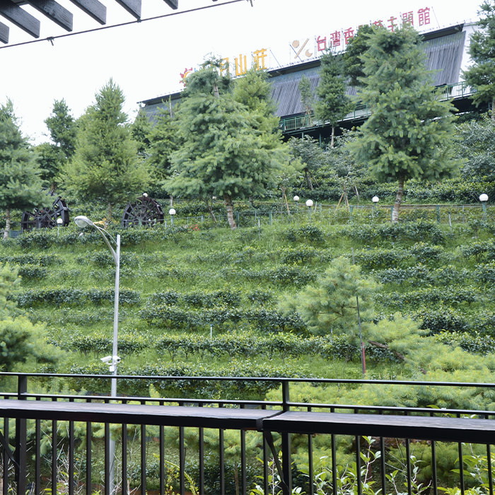 南投魚池景點|台灣香日月潭紅茶廠|免費喝茶吃茶葉蛋,親子景點推薦 - 第4張圖