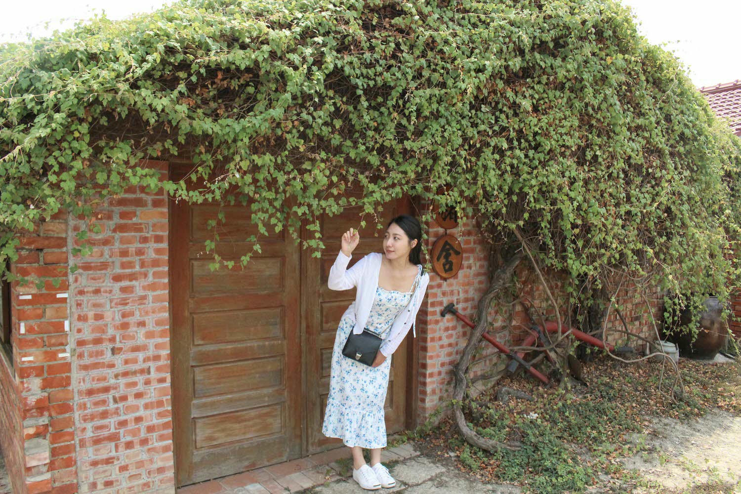 嘉義鹿草一日遊|沿著河堤尋鹿小徑,20年老店鴨肉羹,必吃在地炸蚵嗲 - 第4張圖
