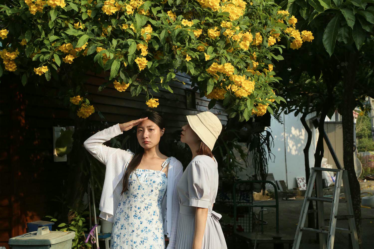 台南鹽水景點|古色古香台灣詩路,春日裡木棉花盛開,夏季池畔蓮花綻放|免門票 - 第15張圖
