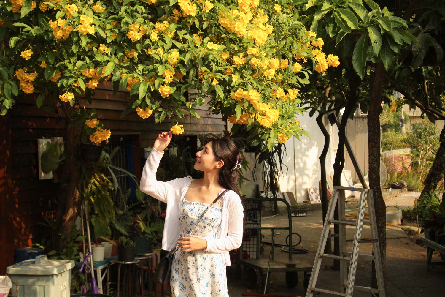 台南鹽水景點|古色古香台灣詩路,春日裡木棉花盛開,夏季池畔蓮花綻放|免門票 - 第16張圖