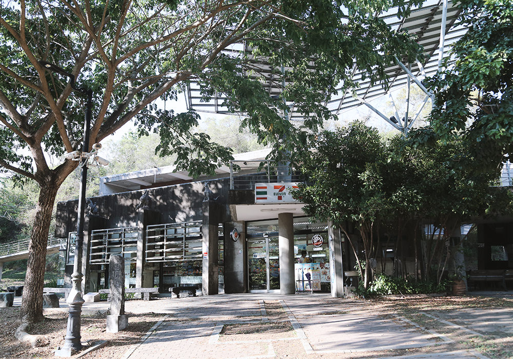 台南官田景點|國立臺南藝術大學,彷彿置身江南水鄉,百年古橋、流水蓮花池 - 第19張圖
