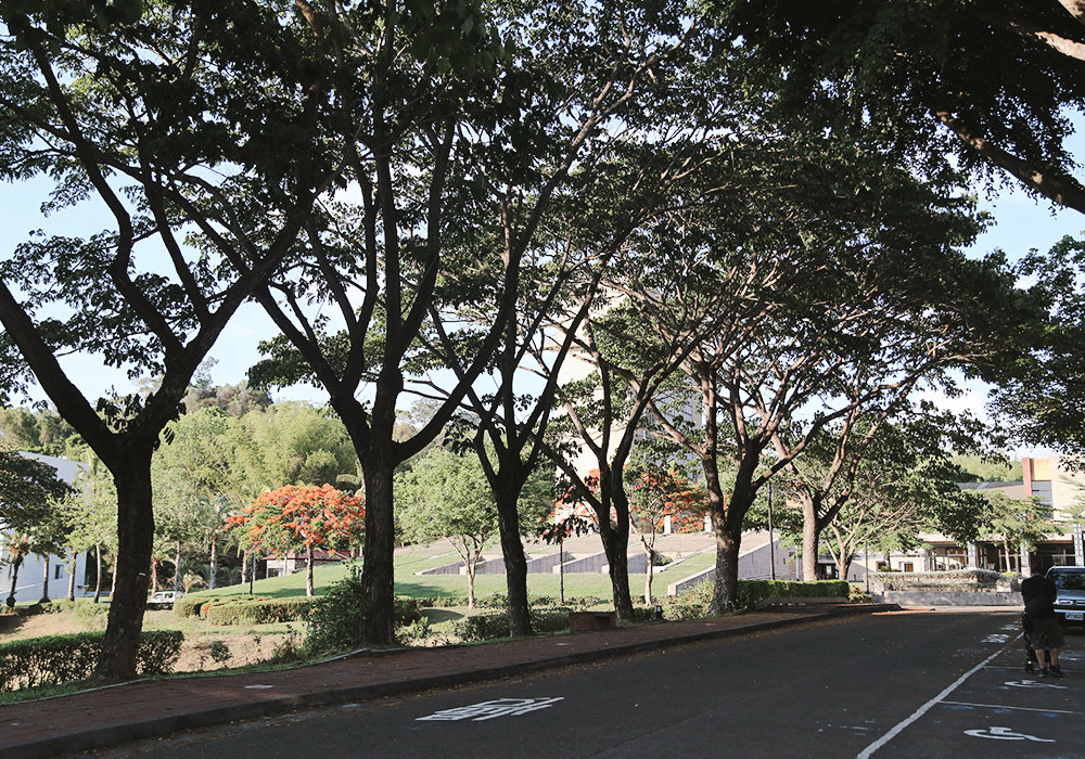 台南官田景點|國立臺南藝術大學,彷彿置身江南水鄉,百年古橋、流水蓮花池 - 第3張圖