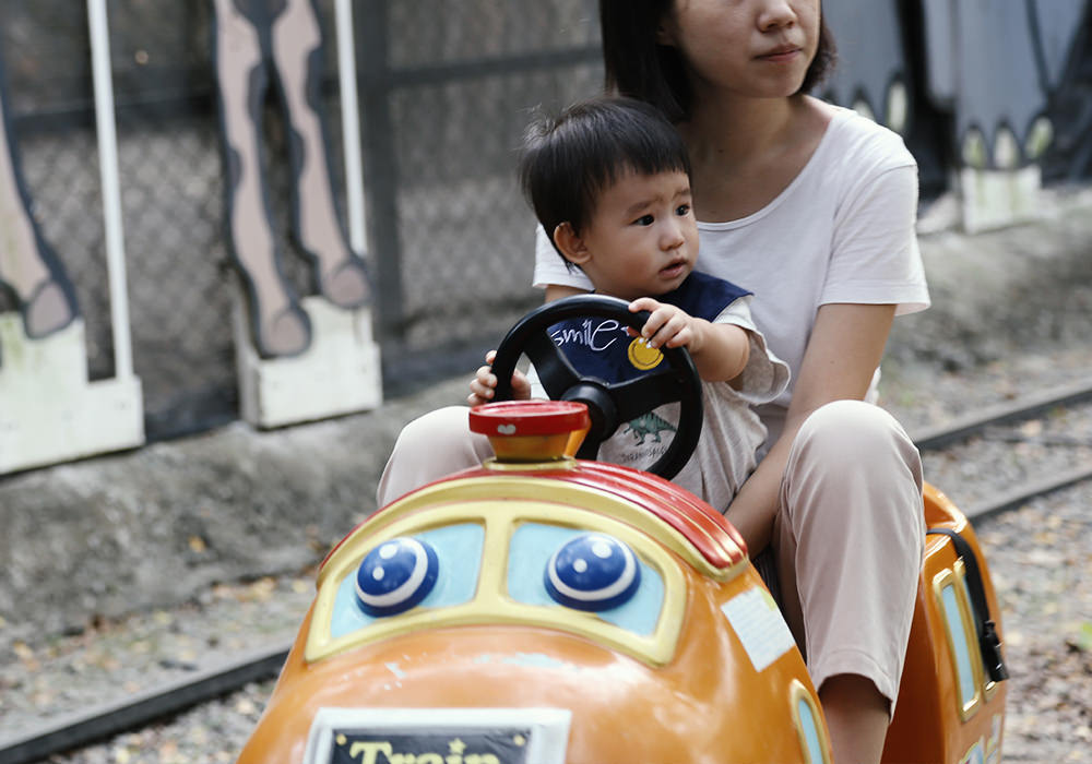 台南新市景點|樹谷農場,餵小動物、騎馬,小孩最愛的恐龍主題景點,銅板價入園 - 第33張圖