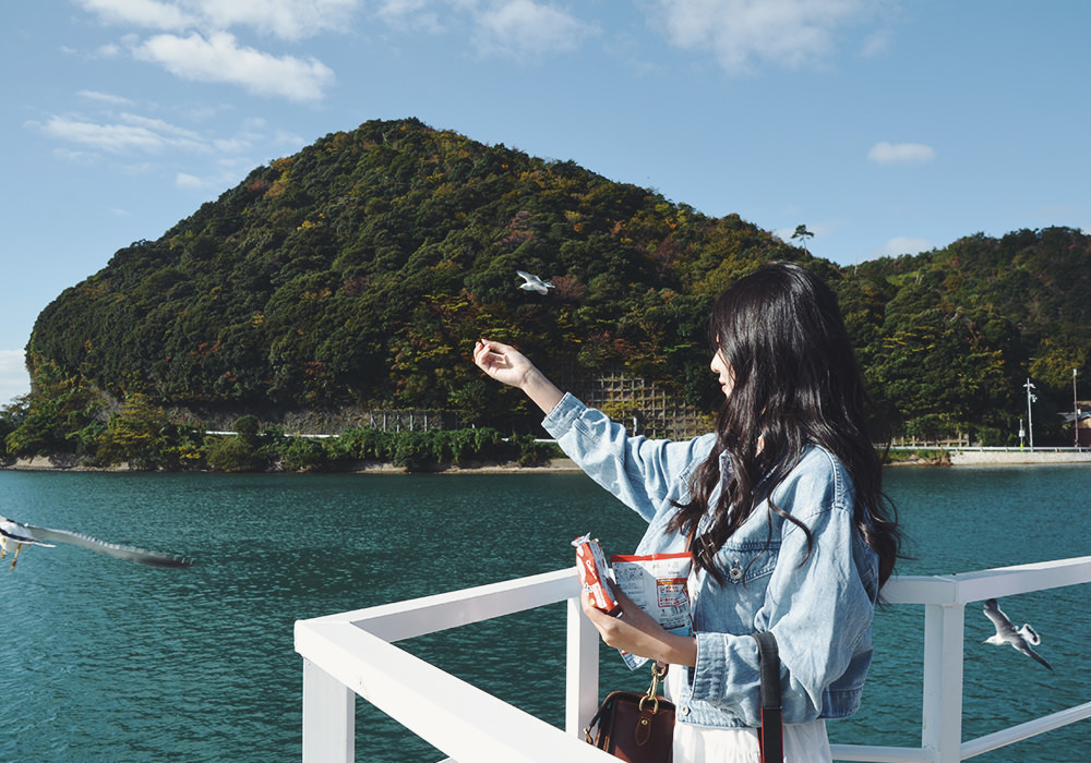 京都景點|伊根灣遊船,船上餵海鷗和海鷗相伴航行,伊根舟屋日本最美海邊小村莊 - 第12張圖