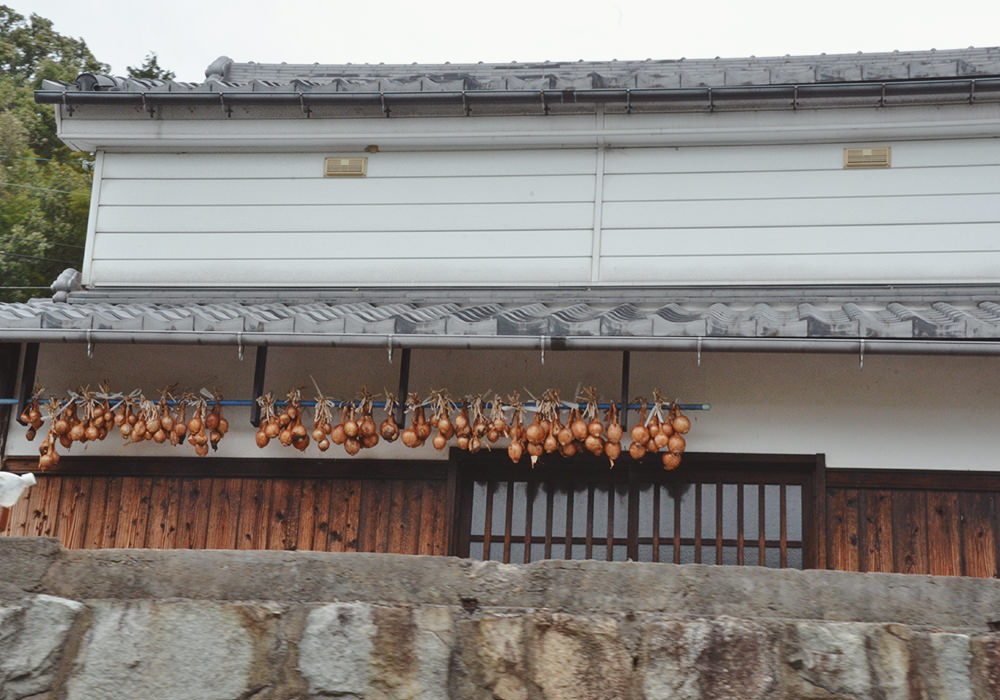 日本滋賀景點|八幡堀めぐり遊船欣賞湖中紅楓,近江八幡交通、景點與必買伴手禮推薦|近江八幡一日散策 - 第21張圖