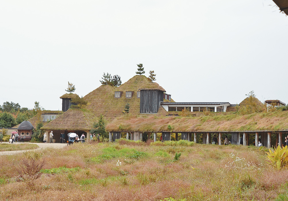 滋賀景點|La Collina 近江八幡,彷彿走進宮崎駿電影,CLUB HARIE年輪蛋糕,搭公車到La Collina - 第32張圖