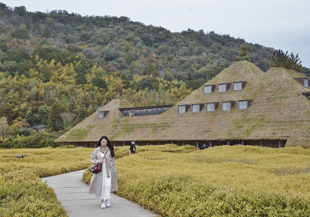 滋賀景點|La Collina 近江八幡,彷彿走進宮崎駿電影,CLUB HARIE年輪蛋糕,搭公車到La Collina - 第4張圖