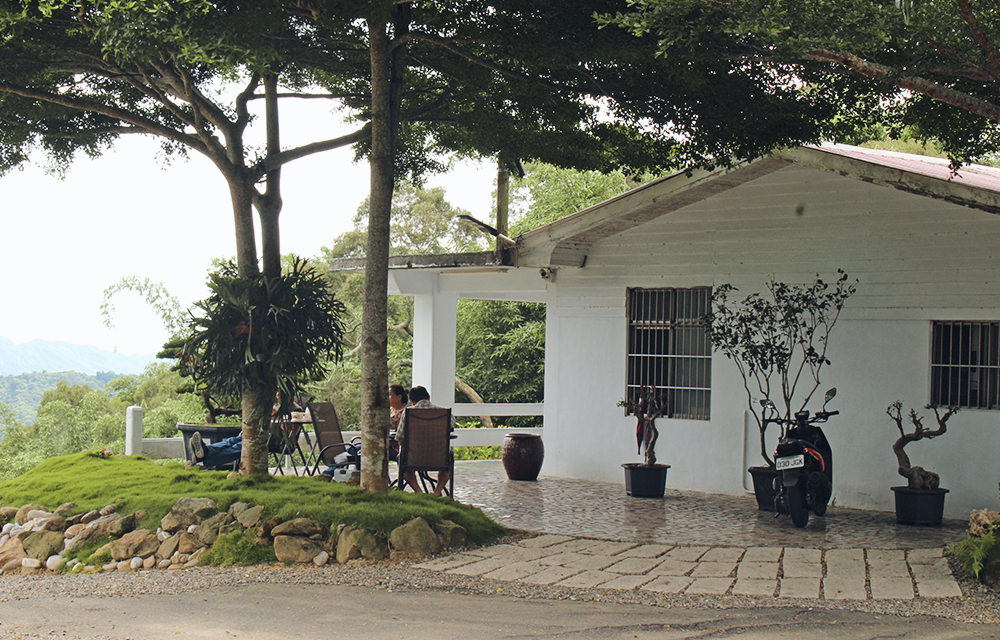 白河關子嶺景觀咖啡廳|雲萊山莊庭園,坐擁山群無敵美景,山上喝咖啡 - 第4張圖